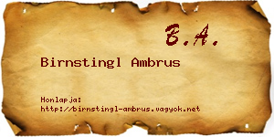 Birnstingl Ambrus névjegykártya